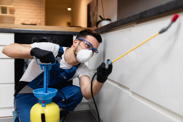 Best Wildlife Control Services  in Sayville, NY